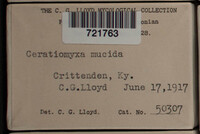 Image Associated With the Occurence